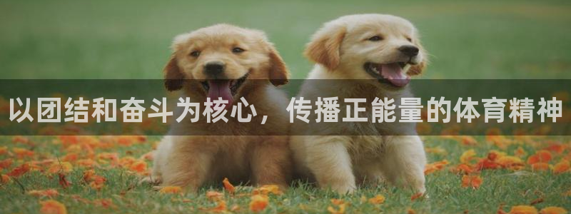 福建沐鸣2机电股份公司