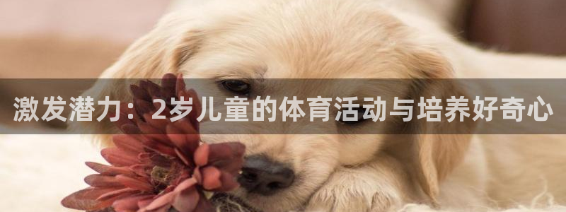 沐鸣2平台代理注册