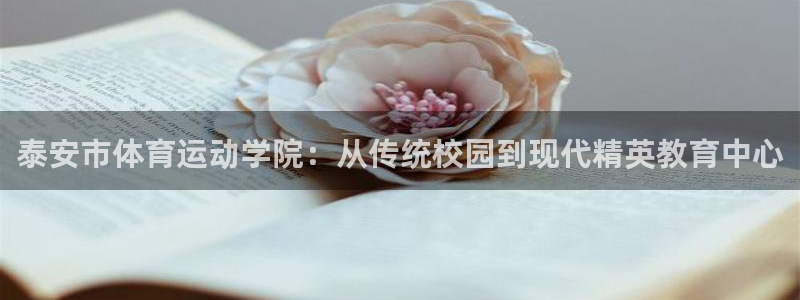 沐鸣2平台在线注册