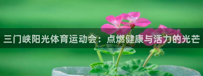 沐鸣平台登录