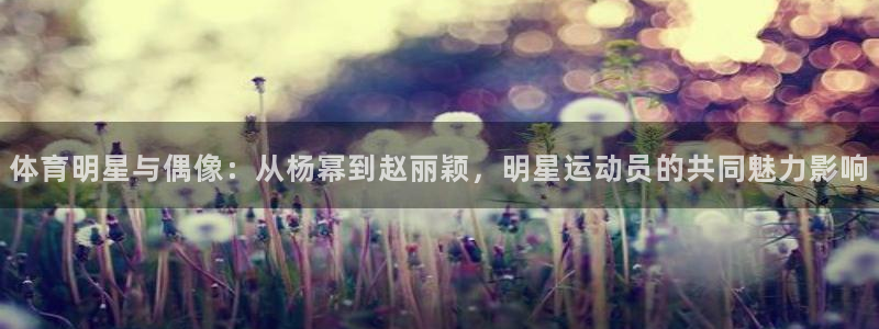 沐鸣24代理
