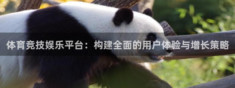 沐鸣2平台招商