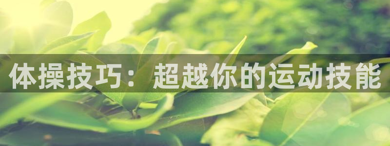 沐鸣2代理