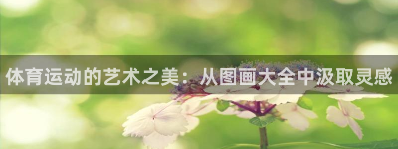 沐鸣2体育平台注册