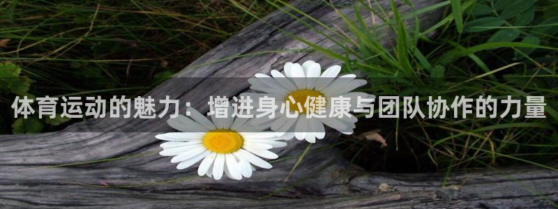 沐鸣2注册首页