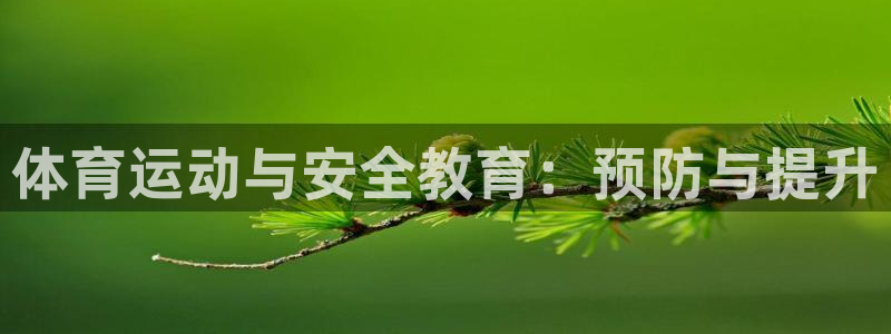东莞市沐鸣2电子科技有限公司
