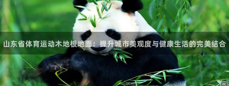 沐鸣2下载