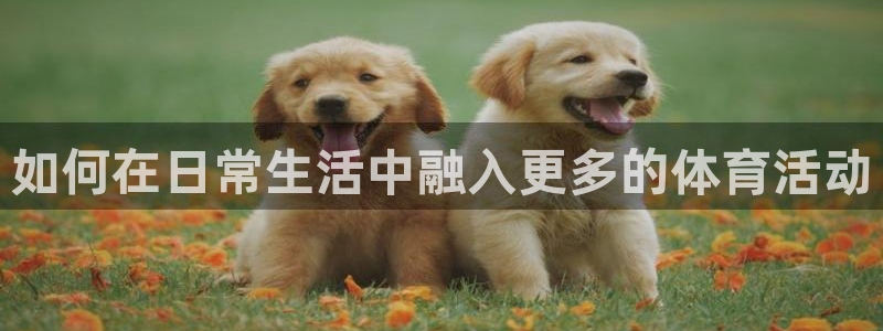 沐鸣2体育平台总代理