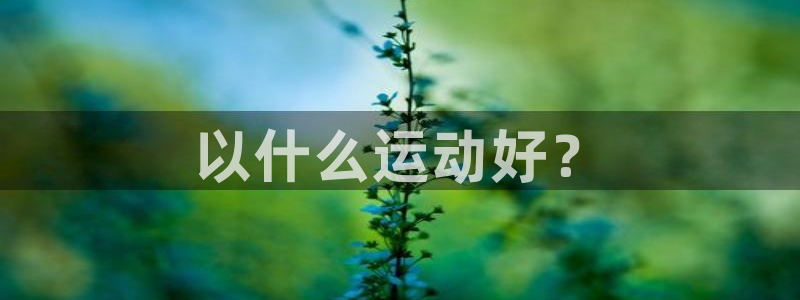 沐鸣2体育app下载