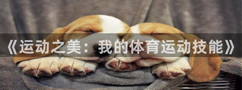 沐鸣2招商