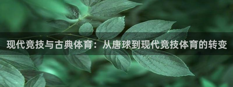 沐鸣2测速登录