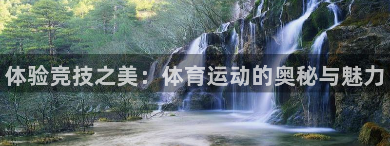 沐鸣2零能源集团