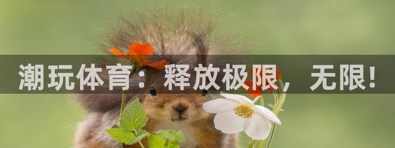 沐鸣2体育注册平台