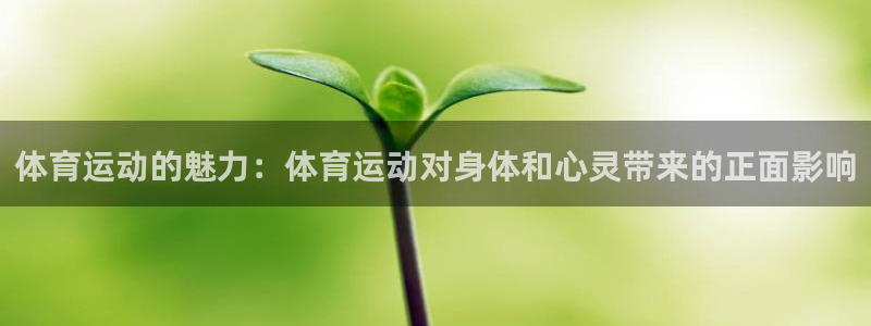 沐鸣24登录