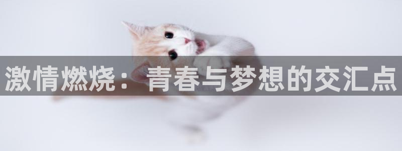 沐鸣2账号注册