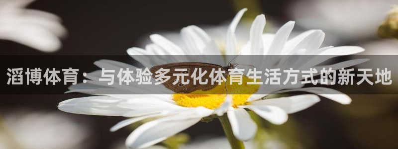 沐鸣23注册