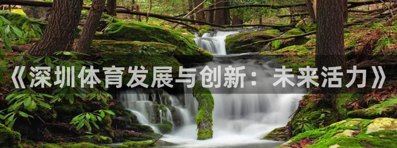 沐鸣娱乐招商