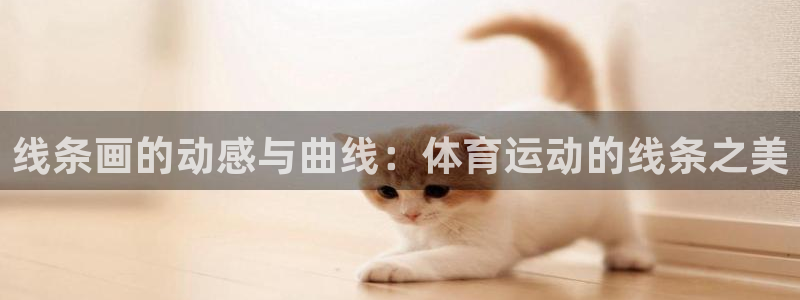 沐鸣3代理