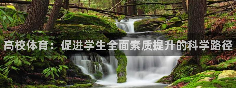 沐鸣2平台测速网址
